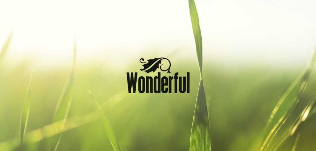 Wonderful – Now Available For License!