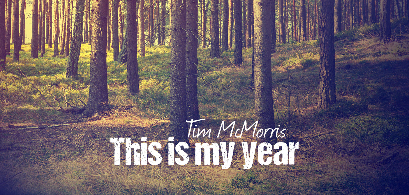 this is my year tim mcmorris скачать